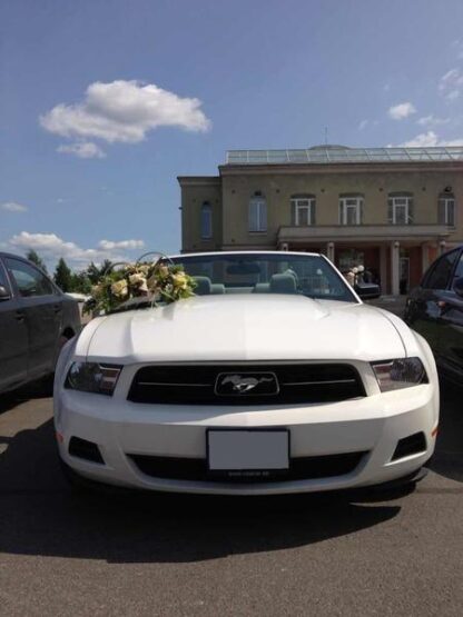Ford Mustang - Image 2