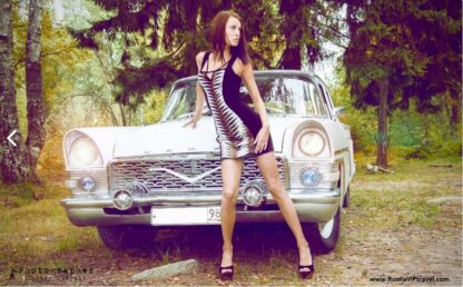 GAZ 13 Seagull White - Image 5