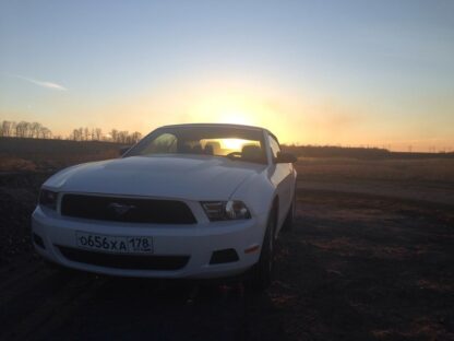 Ford Mustang Cabrio - Image 4