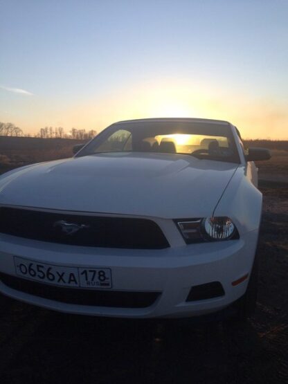 Ford Mustang Cabrio - Image 2